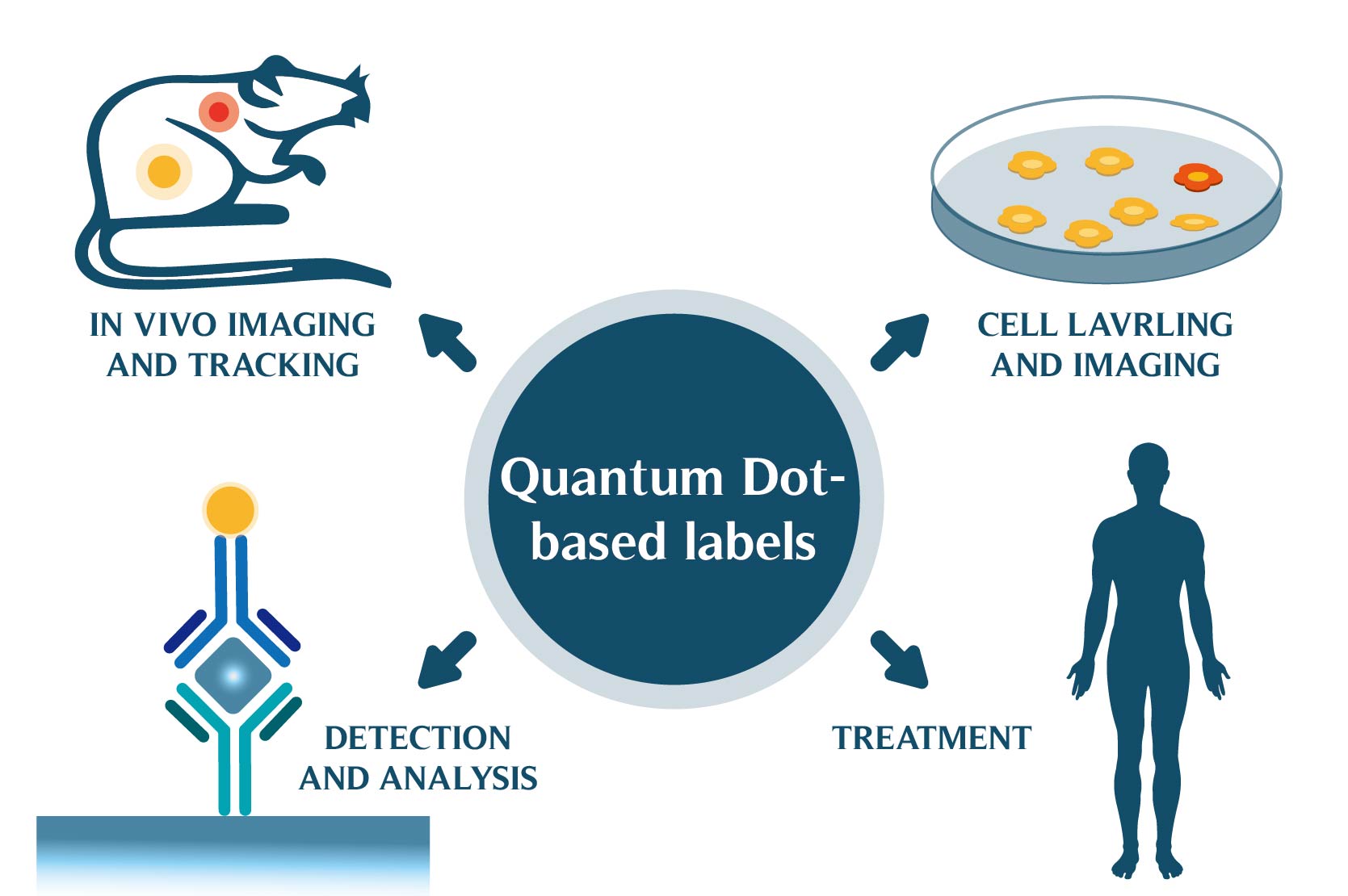 Quantum dots based biosensors 